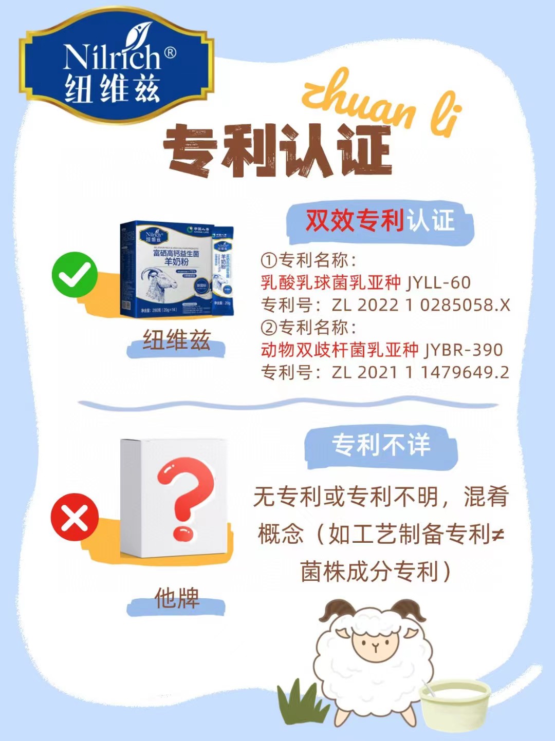 p6.jpg